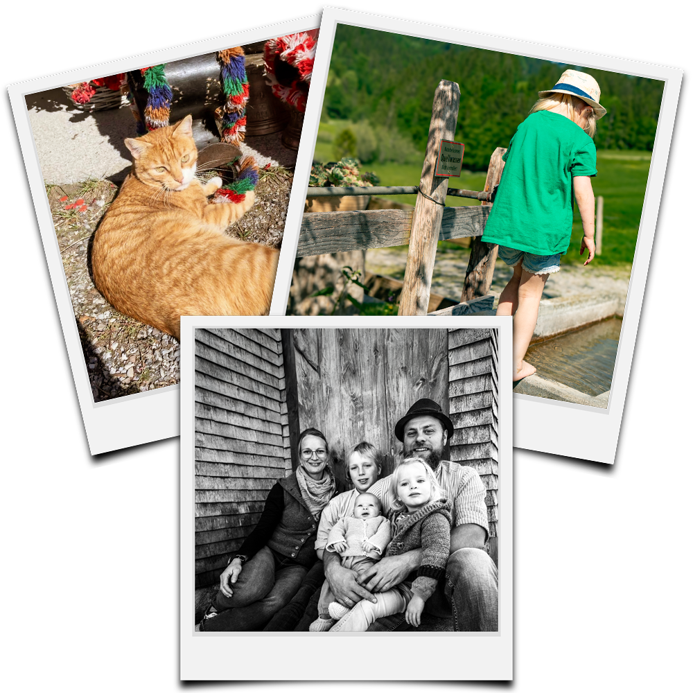 Untere Ochsenalpe Bad Hindelang Oberjoch Gastgeber Familie Uth