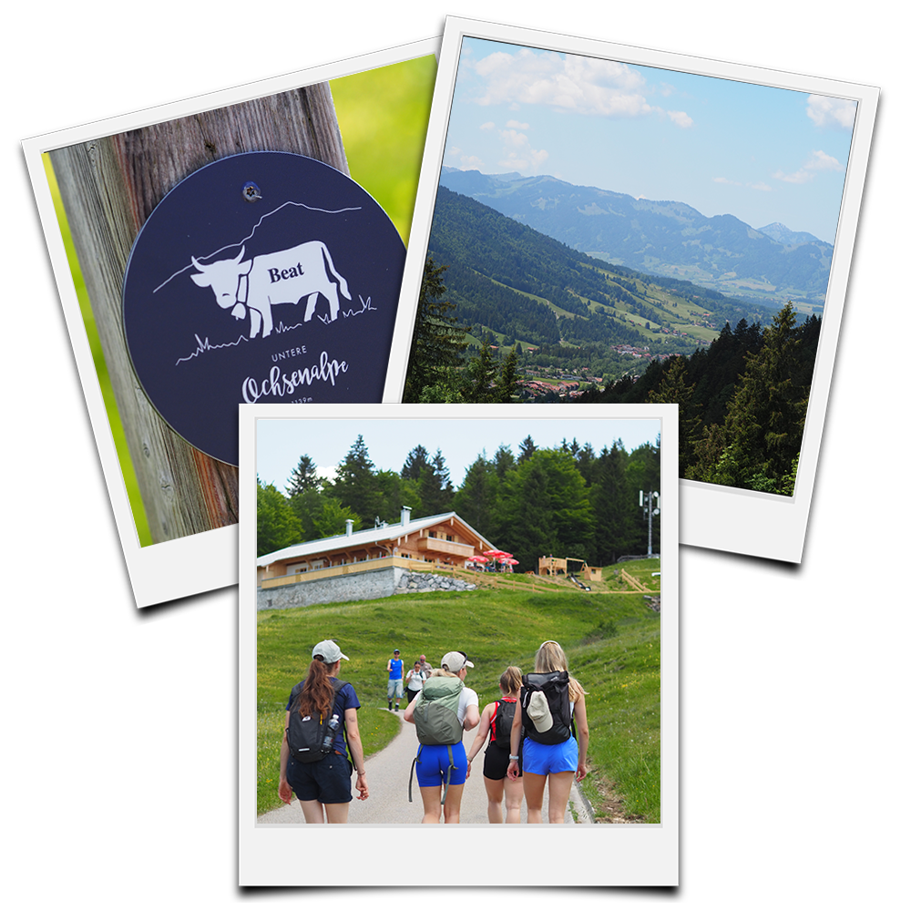 Wanderungen - Untere Ochsenalpe