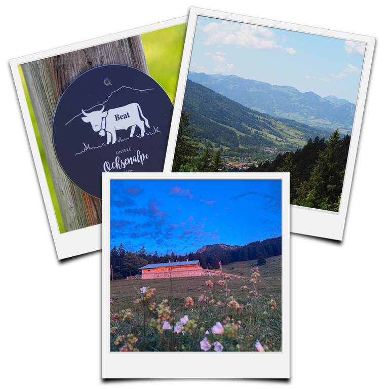 Wanderungen zur Ochsenalpe