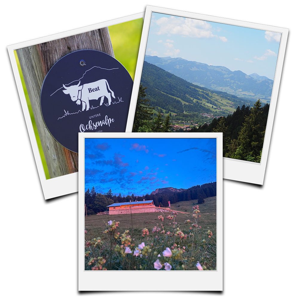 Wanderungen zur Ochsenalpe